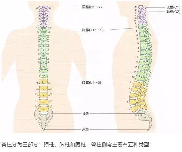 微信截圖_20231228111251.jpg